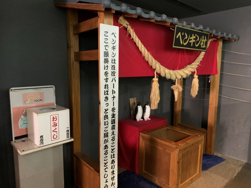 Oga Aquarium GAO