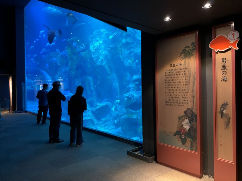 Oga Aquarium GAO