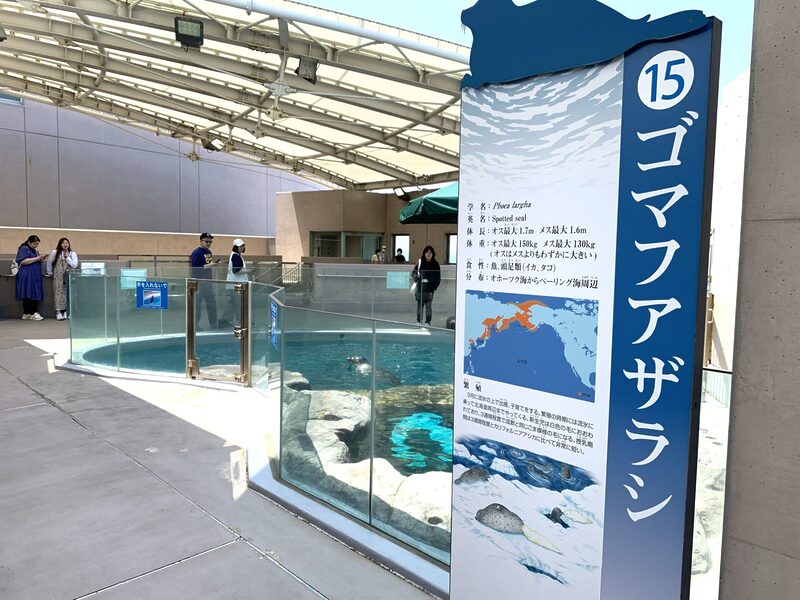 Oga Aquarium GAO