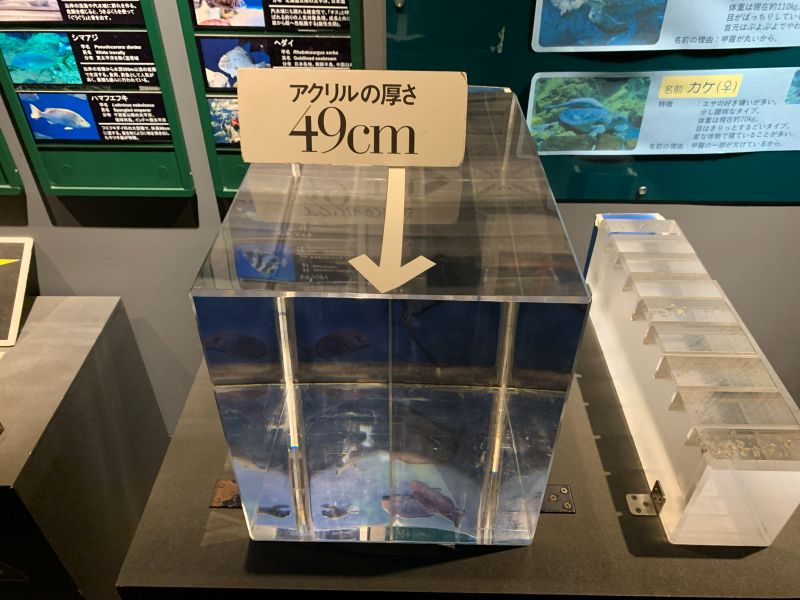 Oga Aquarium GAO