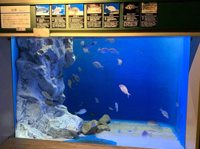 Oga Aquarium GAO