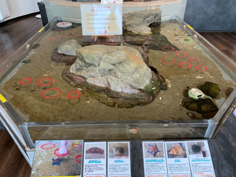 Oga Aquarium GAO
