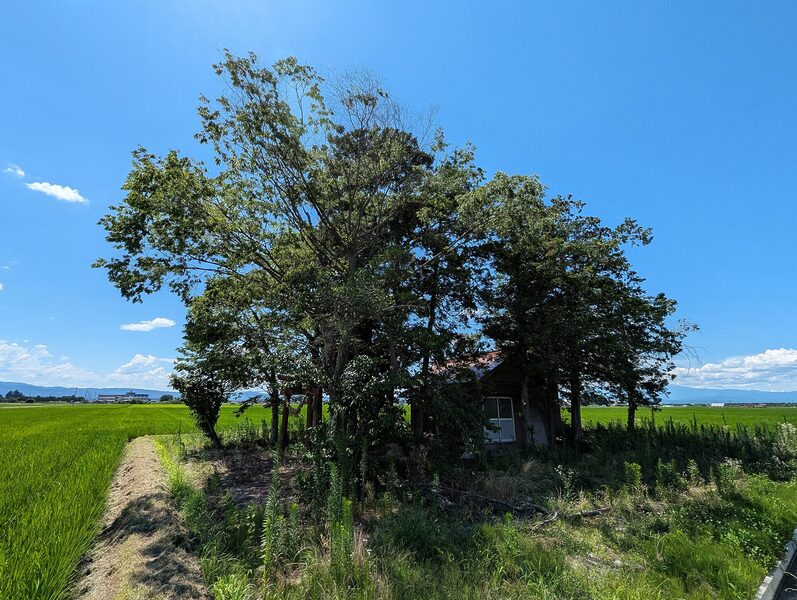 El santuario de Arahagi, ubicado en una zona rural