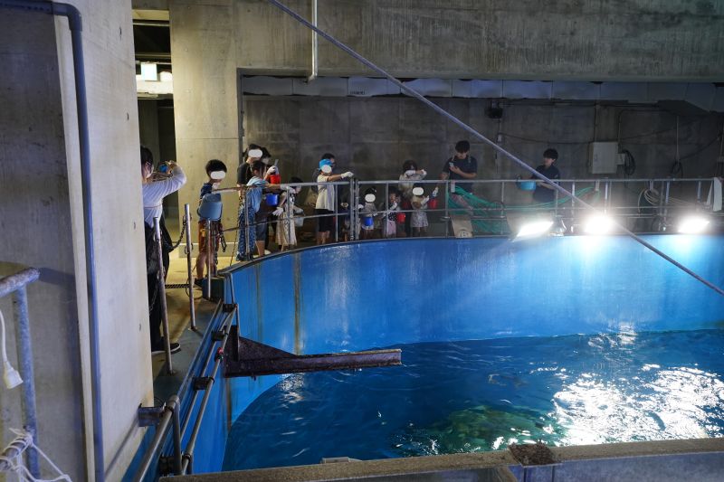 Oga Aquarium GAO