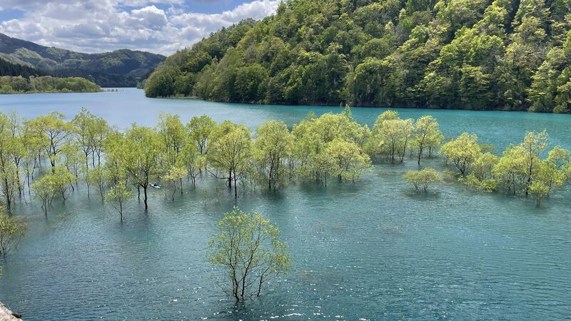 秋扇湖水没林