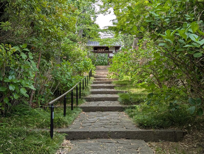 梅雨になると紫陽花が咲き乱れる資福寺の参道