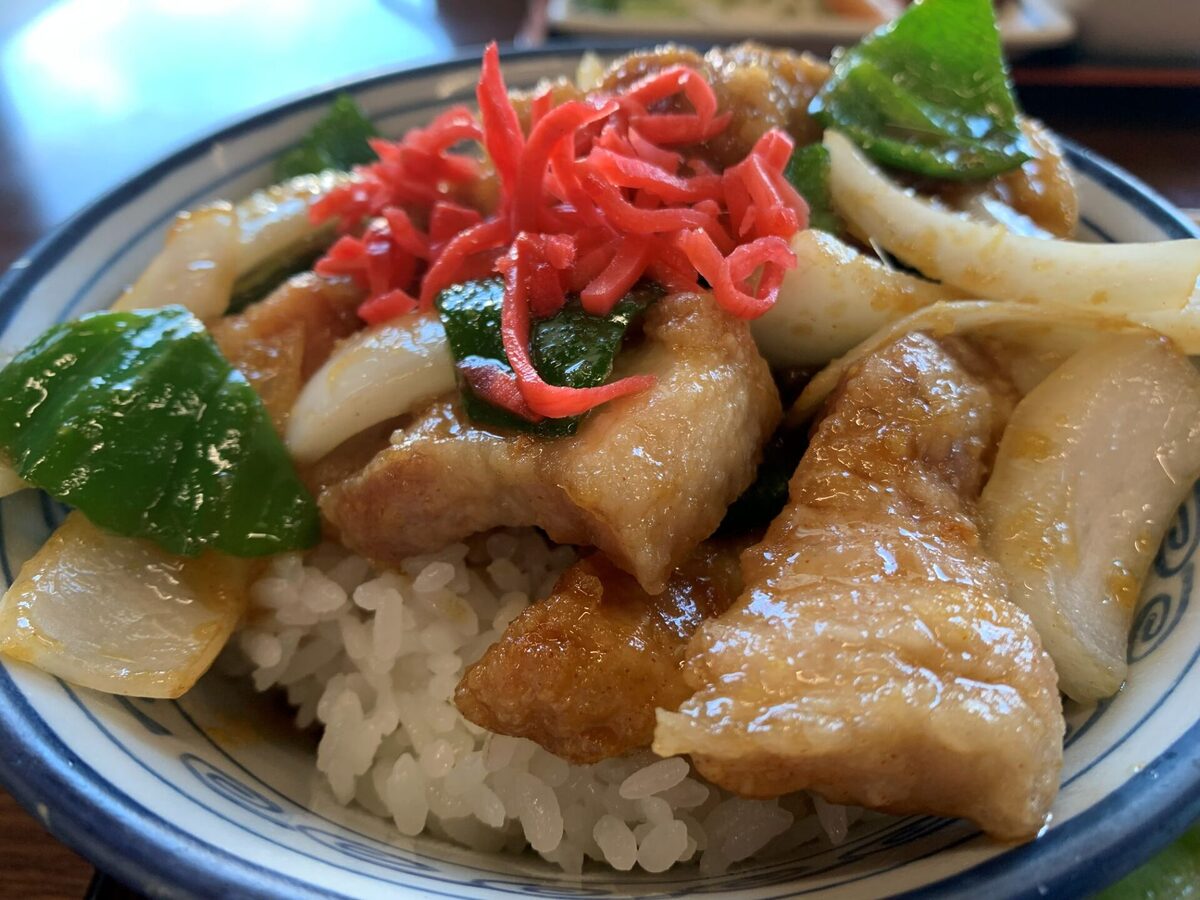 米饭碗上放有脆皮猪肉、洋葱、蔬菜和切碎的红姜。.