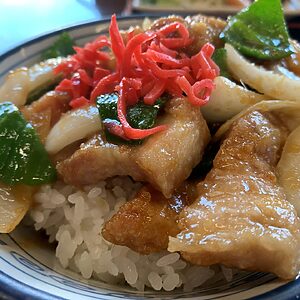 Rice bowl with crispy pork, onions, greens, and shredded red pickled ginger on top.