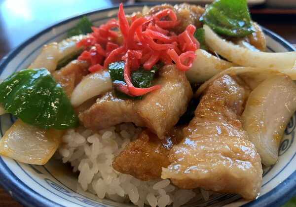 Rice bowl with crispy pork, onions, greens, and shredded red pickled ginger on top.