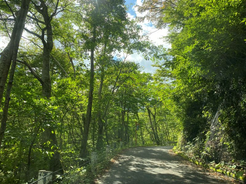 須川温泉の手前付近はまだ紅葉が進んでいなかった（9/22撮影）