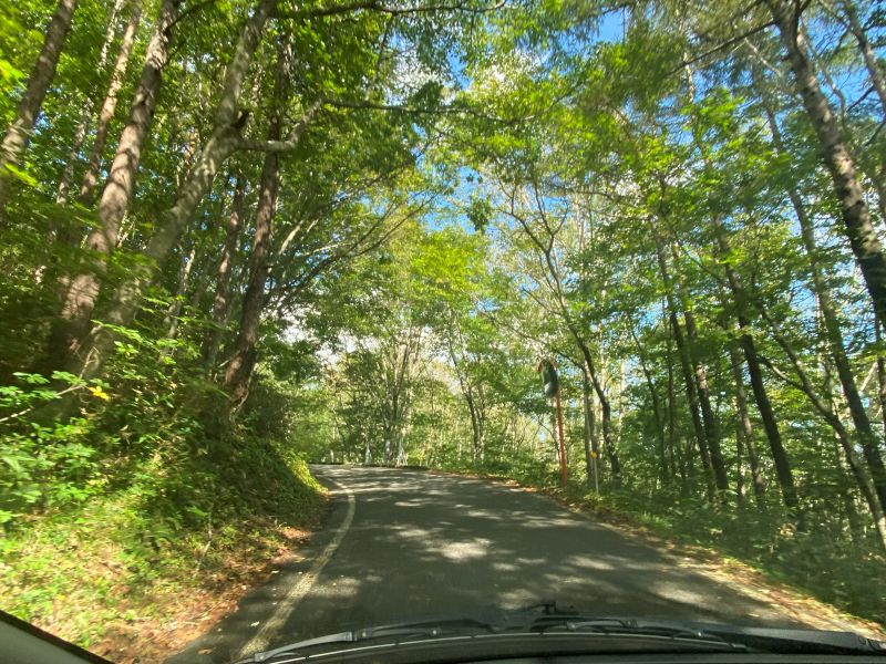 須川温泉に近づくにつれて、センターラインが消え道幅が狭くなった342号