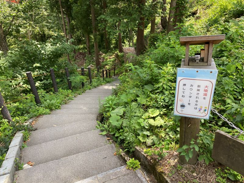 Las escaleras tienen escalones suaves, están bien mantenidas y son fáciles de recorrer