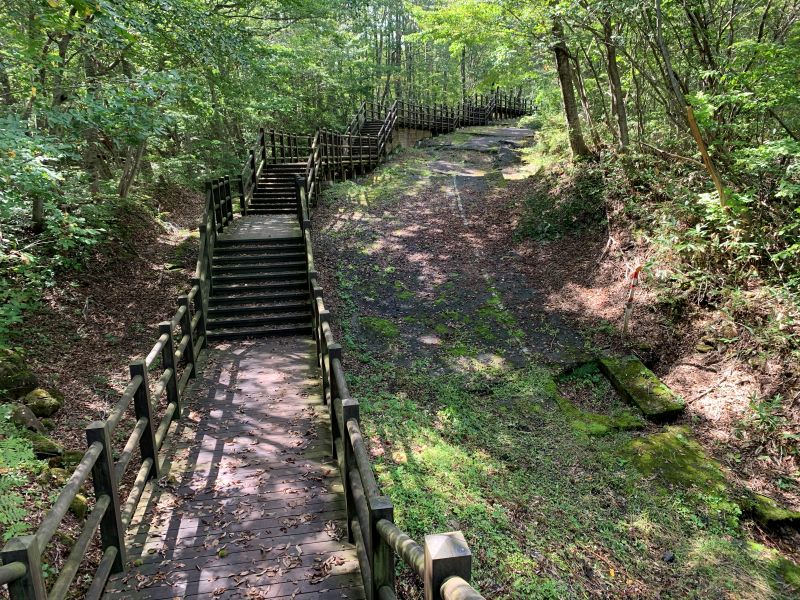 見学通路は地滑りによってズタズタにされた白線が残る旧国道の脇を歩くことができる