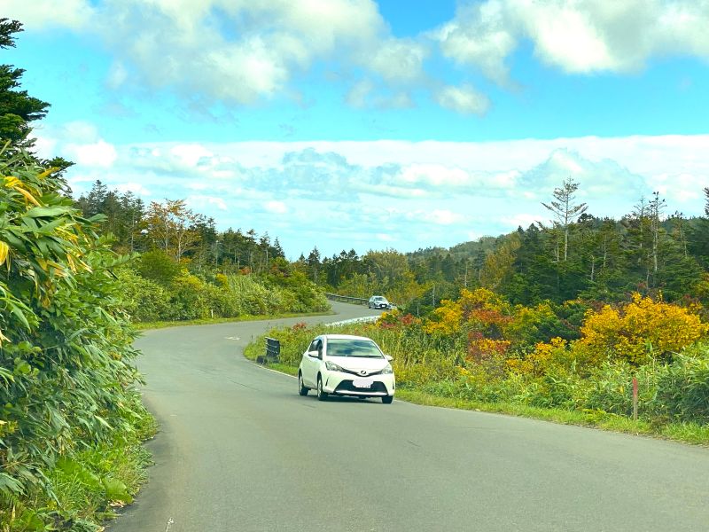La route nationale 103 près de Suiren-numa offre une agréable promenade en voiture