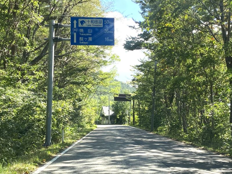 Après avoir passé l'entrée de Moya Hills, la forêt se resserre sur la route et la pente ascendante devient encore plus raide