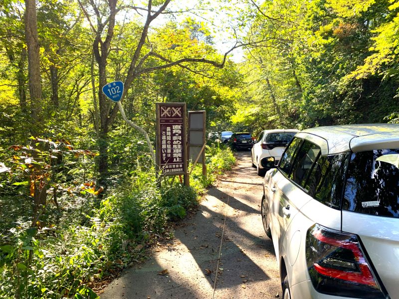Des cordes délimitent les places de stationnement le long des accotements de chaque côté, devant l'aire de repos, permettant ainsi le stationnement en créneau