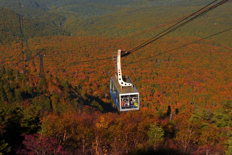 Un téléphérique au milieu des feuillages d'automne. Source : Amazing AOMORI, site d'information touristique de la préfecture d'Aomori