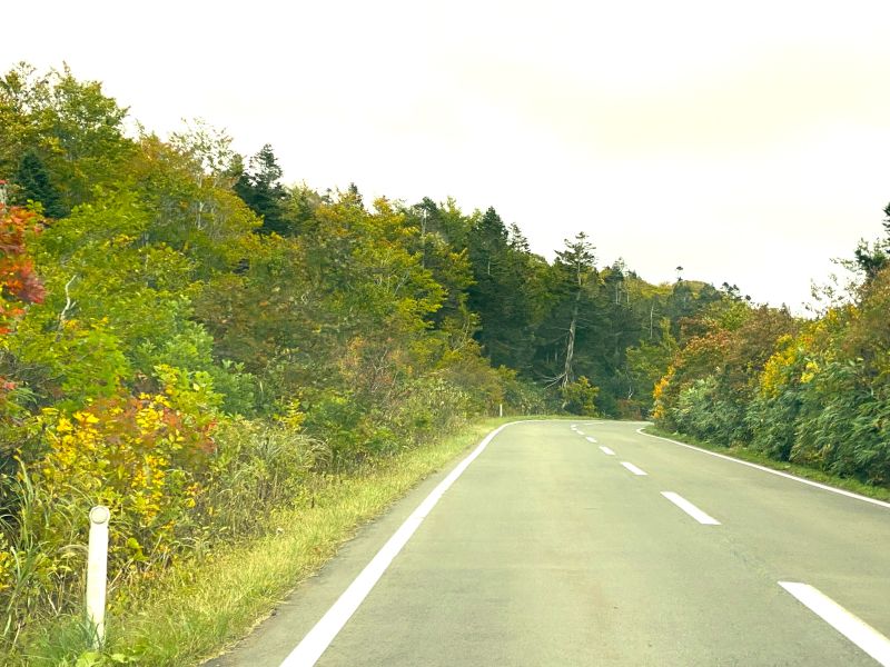 Les feuilles d'automne commencent à changer de couleur près de Sukayu Onsen