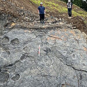 Site de fouilles archéologiques présentant de multiples empreintes de dinosaures (Image courtoisie de la ville de Minamisoma)