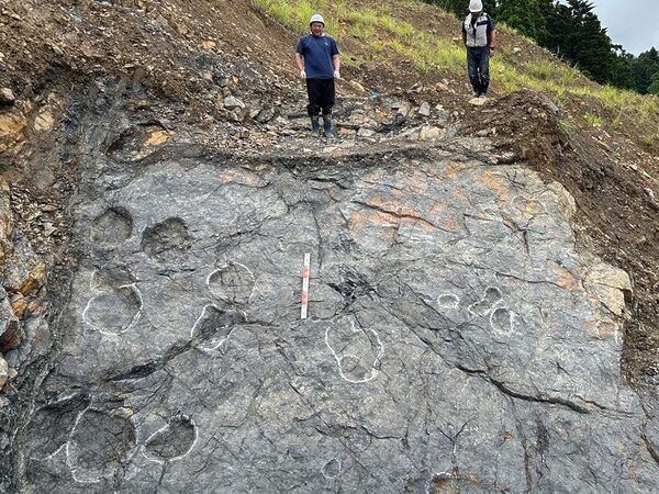Yacimiento arqueológico con múltiples huellas de dinosaurios (Imagen cortesía de la ciudad de Minamisoma)