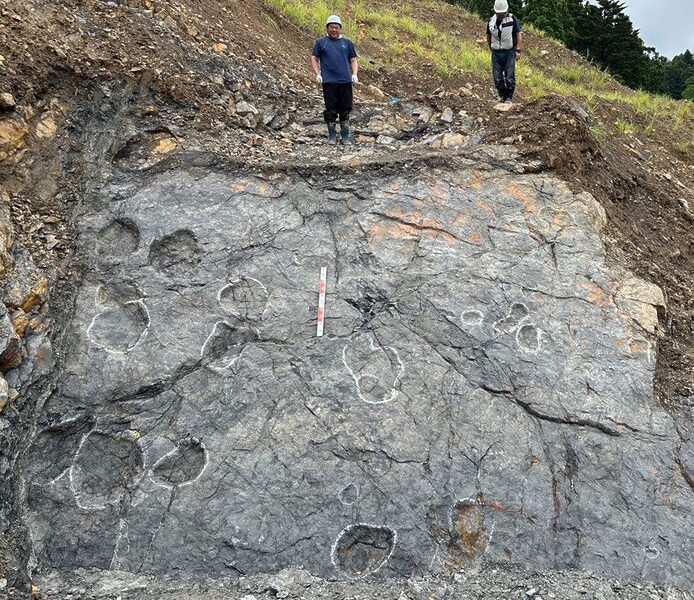 Site de fouilles archéologiques présentant de multiples empreintes de dinosaures (Image courtoisie de la ville de Minamisoma)
